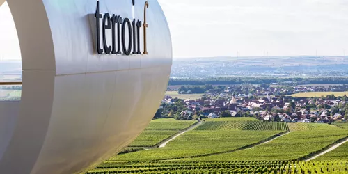 Terroir F Roedelsee, Foto: Richard Schober