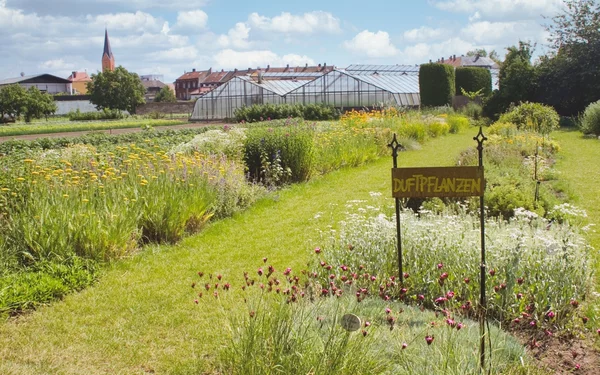 Der Schaukräutergarten von MUssAEROL, Foto: MUssAEROL