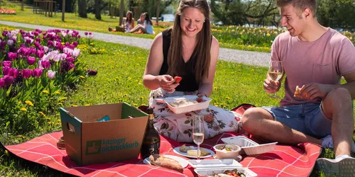 Picknick, Foto: Atelier Zudem