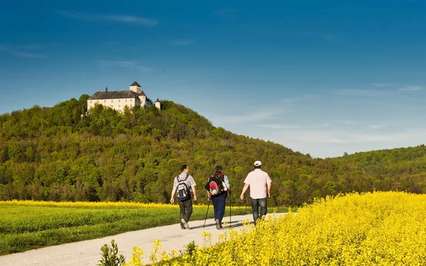 Schloss Greifenstein, Foto: A. Hub