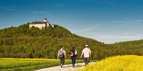 Schloss Greifenstein, Foto: A. Hub