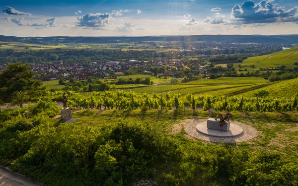 terroir f  , Foto: Rolf Nachbar, Lizenz: Gemeinde Thüngersheim