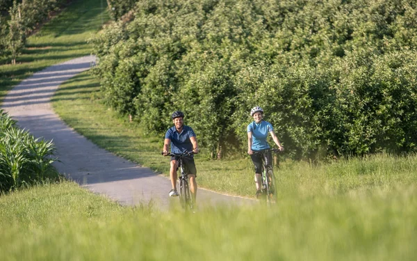 Radfahren in den Obstgärten, Foto: Frederick Sams, Lizenz: Landratsamt Lindau