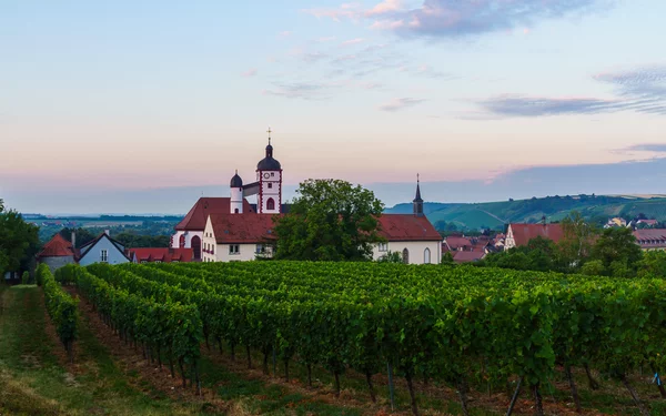 Weinberg auf dem Sagen- und Mythenweg Dettelbach, Foto: David Rauch