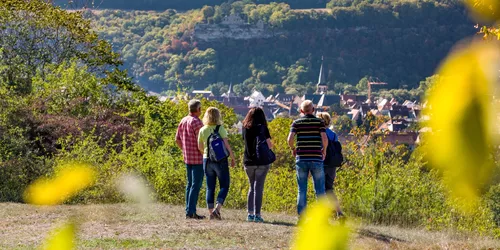 Saupurzel, Foto: Stadt Karlstadt