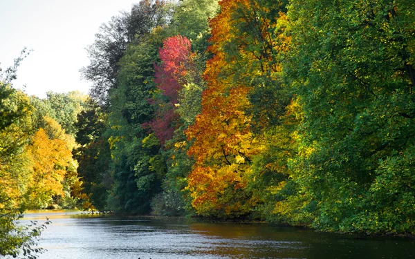 Regnitz im Hain - Bamberg Steigerwald, Foto: BambergHub, Lizenz: FrankenTourismus