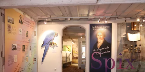 Spix Museum, Foto: Spix Museum