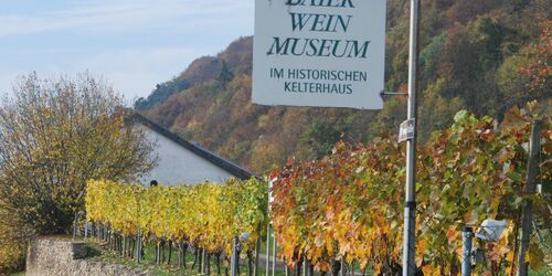 Baierweinmuseum im Herbst, Foto: Reinhard Eberl