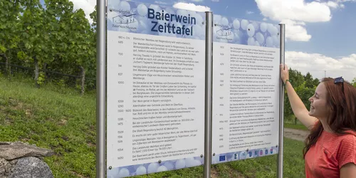 Zeittafel Weinlehrpfad Baierweinmuseum Bach, Foto: Stefan Gruber