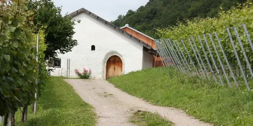 Das Baierweinmuseum in Bach, Foto: Förderverein Bach