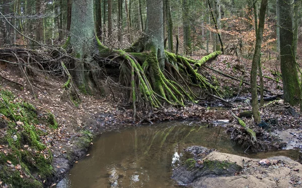 Rumpelbachschlucht, Röthenbach, Foto:  Derzno