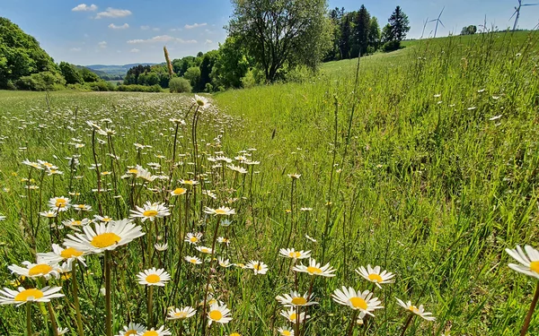 Radweg bei Pelchenhofen, Foto: Katja Schumann