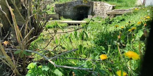 Quelle der schwarzen Laber, Foto: Katja Schumann