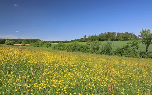 Felder und Wiesen am Sonderflugplatz Neustadt an der Aisch, Foto: Uwe Miethe, Lizenz: DB