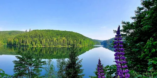 Junimorgen an der Ködeltalsperre, Foto: Tourismusverband Oberes Rodachtal e.V.