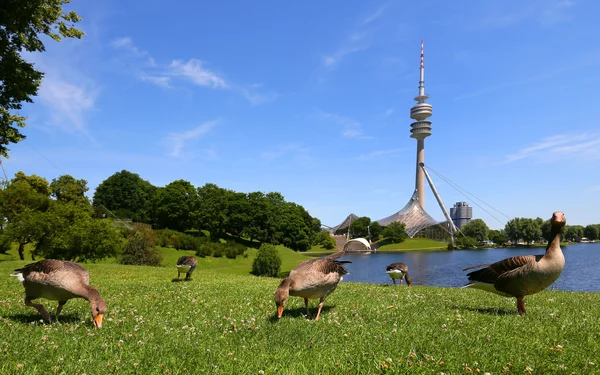 Olympiapark München, Foto: Tommy Lösch, Lizenz: München Tourismus