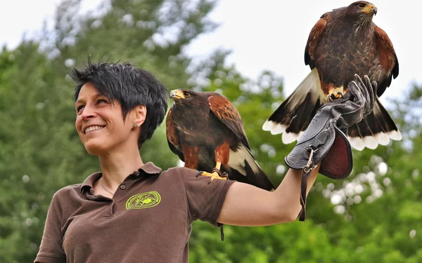 Greifvogelpark Katharinenberg, Foto: Stadt Wunsiedel