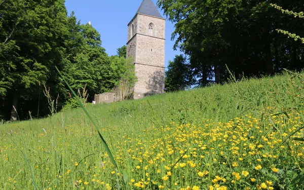 Bürgerpark Wunsiedel, Foto: Stadt Wunsiedel