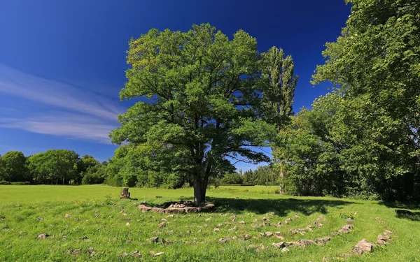 Unterwegs im Kurpark Bad Windsheim., Foto: Uwe Miethe