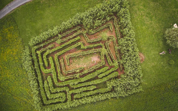 Weidenlabyrinth Lichtenfels, Foto: Klaus Wendel