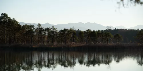 Osterseen mit Bergpanorama