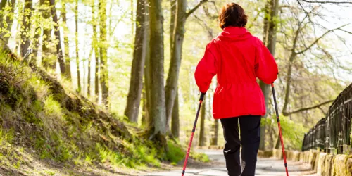 Eine Dame geht mit Wanderstöcken durch den Wald