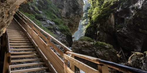 Eine Holzbrücke mit Stufen, die eine Hilfe darstellt um über eine Schlucht und hinauf zu kommen