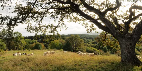 Dillberg: Hiking with outstanding views