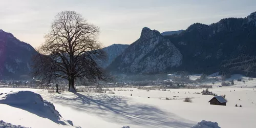 Hiking in Oberammergau: the Altherrenweg