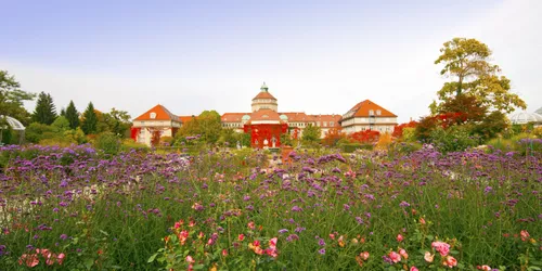 the Munich Botanical Garden