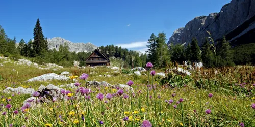 Trip to Kösseinehaus cabin in the Fichtel mountains